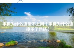 手机为什么连接不上网（手机为什么连接不了网络）