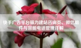 快手广告平台磁力建站咨询页、微信组件与智能电话管理详解