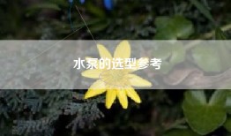 水泵的选型参考