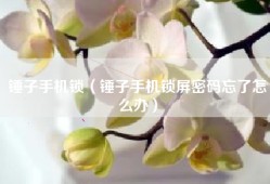锤子手机锁（锤子手机锁屏密码忘了怎么办）
