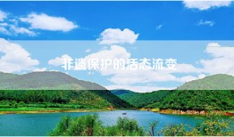 非遗保护的活态流变