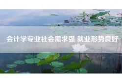 会计学专业社会需求强 就业形势良好