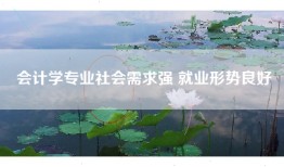 会计学专业社会需求强 就业形势良好