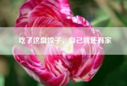 吃了这盘饺子，自己就还有家
