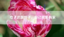 吃了这盘饺子，自己就还有家