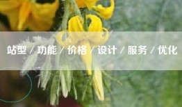 站型／功能／价格／设计／服务／优化