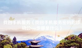 找回手机服务（找回手机服务密码的移动公cpp步骤是什么）