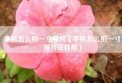 手机怎么拍一寸照片（手机怎么拍一寸照片证件照）