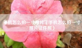 手机怎么拍一寸照片(手机怎么拍一寸照片证件照)