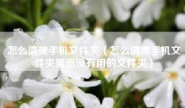 怎么清理手机文件夹（怎么清理手机文件夹里面没有用的文件夹）