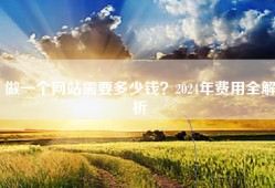 做一个网站需要多少钱？2024年费用全解析