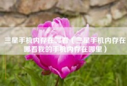 三星手机内存在哪看（三星手机内存在哪看我的手机内存在哪里）