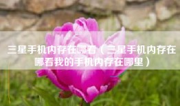 三星手机内存在哪看（三星手机内存在哪看我的手机内存在哪里）