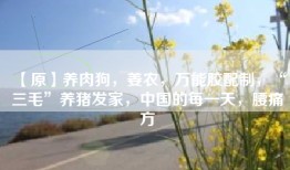 【原】养肉狗，姜农，万能胶配制，“三毛”养猪发家，中国的每一天，腰痛方