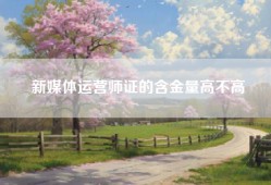 新媒体运营师证的含金量高不高