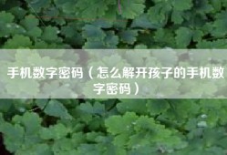 手机数字密码（怎么解开孩子的手机数字密码）