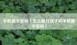 手机数字密码（怎么解开孩子的手机数字密码）
