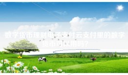 数字货币理财电子支付云支付里的数字货币可以用吗？