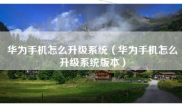 华为手机怎么升级系统（华为手机怎么升级系统版本）