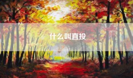 什么叫直投