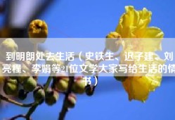 到明朗处去生活（史铁生、迟子建、刘亮程、李娟等21位文学大家写给生活的情书）