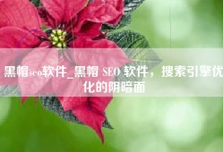 黑帽seo软件_黑帽 SEO 软件，搜索引擎优化的阴暗面
