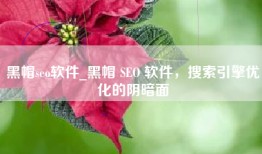 黑帽seo软件_黑帽 SEO 软件，搜索引擎优化的阴暗面