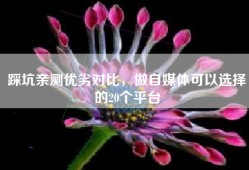 踩坑亲测优劣对比，做自媒体可以选择的20个平台