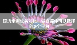 踩坑亲测优劣对比，做自媒体可以选择的20个平台