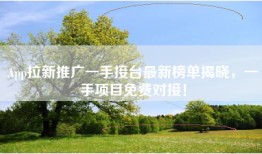 App拉新推广一手接台最新榜单揭晓，一手项目免费对接！