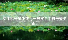 买手机号多少钱（一般买个手机号多少钱）