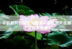 手机照片在哪个文件夹（手机照片在哪个文件夹里面）