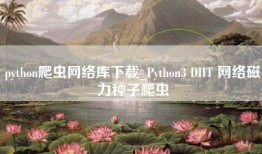 python爬虫网络库下载_Python3 DHT 网络磁力种子爬虫