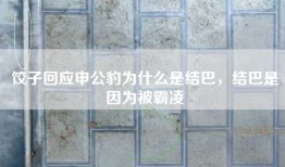 饺子回应申公豹为什么是结巴，结巴是因为被霸凌