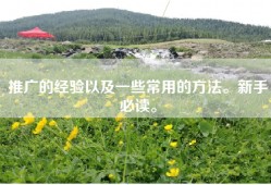 推广的经验以及一些常用的方法。新手必读。