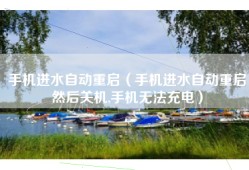 手机进水自动重启（手机进水自动重启然后关机,手机无法充电）