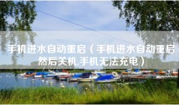 手机进水自动重启（手机进水自动重启然后关机,手机无法充电）