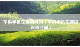 苹果手机在哪调时间（苹果手机在哪里设置时间）