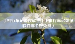 手机行车记录仪软件（手机行车记录仪软件哪个好免费）