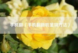 手机翻（手机翻新机鉴别方法）