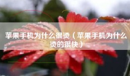苹果手机为什么很烫（苹果手机为什么烫的很快）