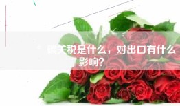 💰碳关税是什么，对出口有什么影响？