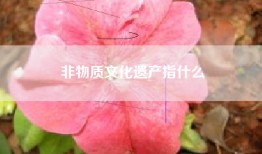 非物质文化遗产指什么