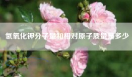 氢氧化钾分子量和相对原子质量是多少