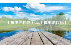 手机电池代码（vivo手机电池代码）