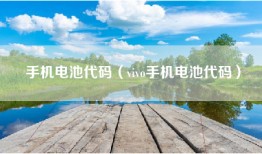 手机电池代码（vivo手机电池代码）