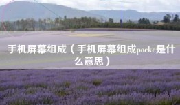 手机屏幕组成(手机屏幕组成pocke是什么意思)