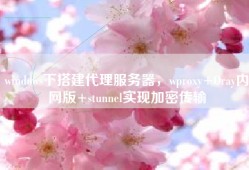 windows下搭建代理服务器，wproxy+Oray内网版+stunnel实现加密传输
