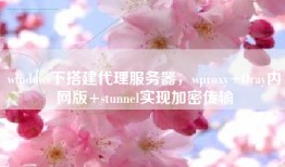 windows下搭建代理服务器，wproxy+Oray内网版+stunnel实现加密传输