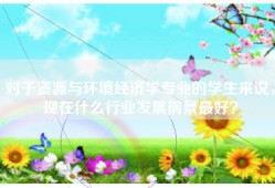 对于资源与环境经济学专业的学生来说，现在什么行业发展前景最好？